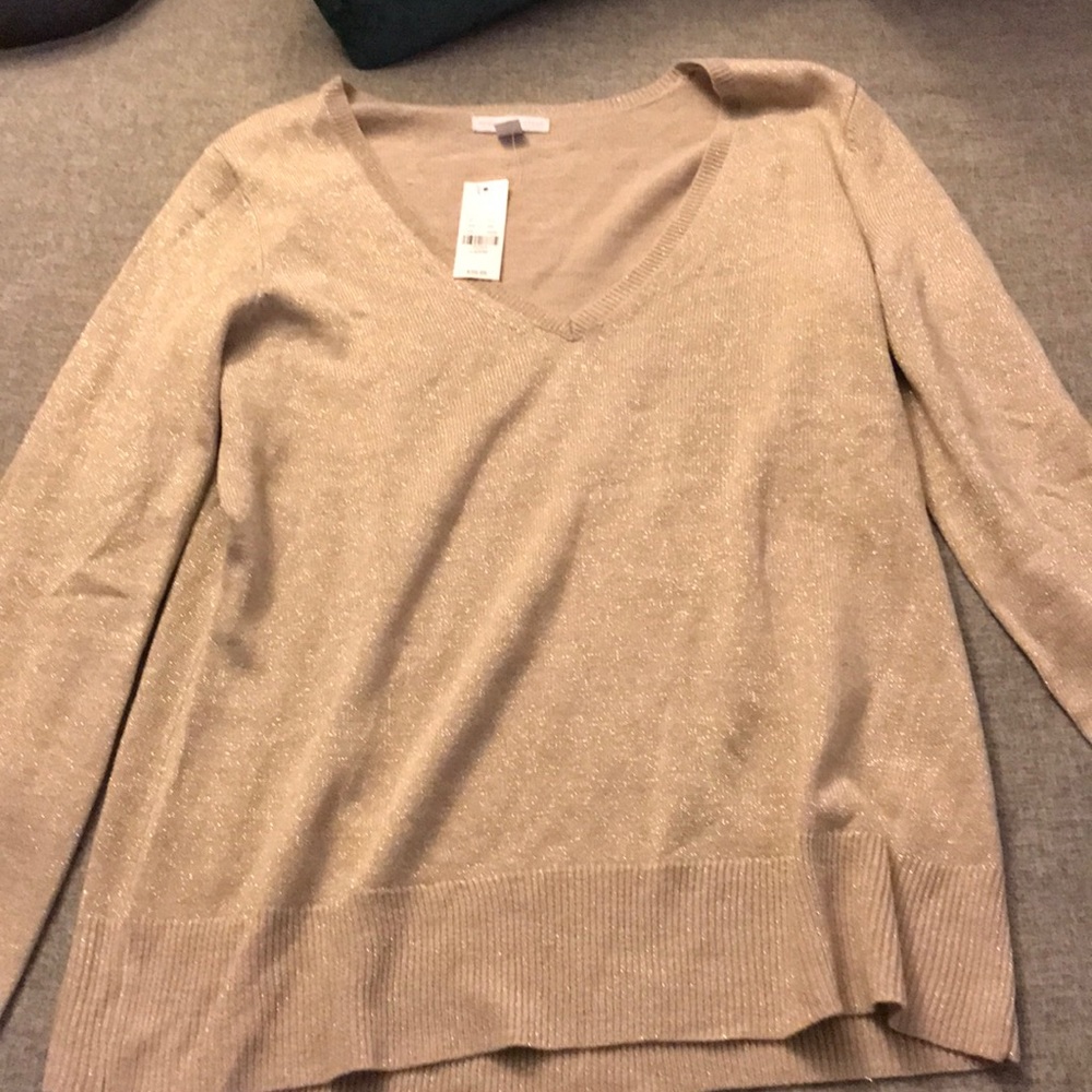 Sparkly sweater